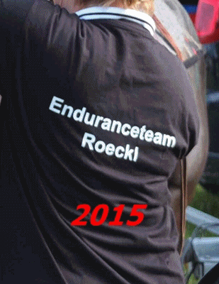 Enduranceteam Roeckl 2015